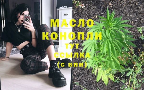 стаф Абаза