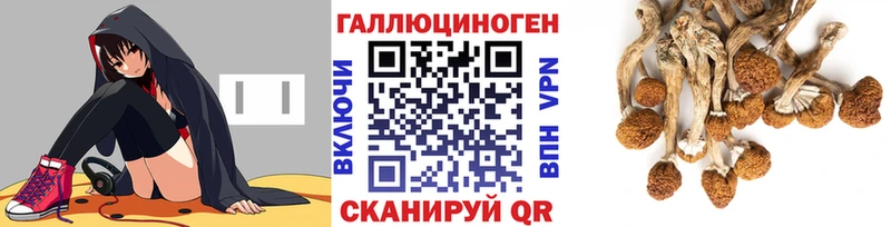 купить закладку  Фёдоровский  Галлюциногенные грибы ЛСД 